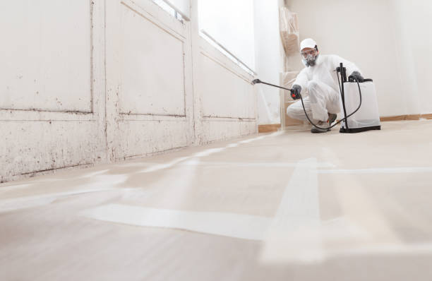 Post-remediation clearance in Atlanta